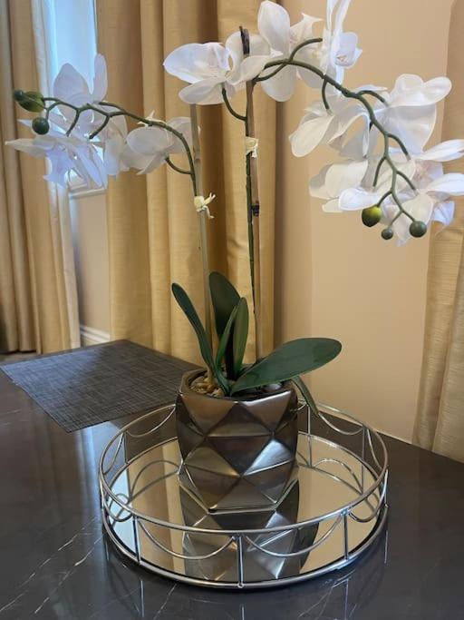 Newly Refurbished Apartment, Near Station & River 런던 외부 사진